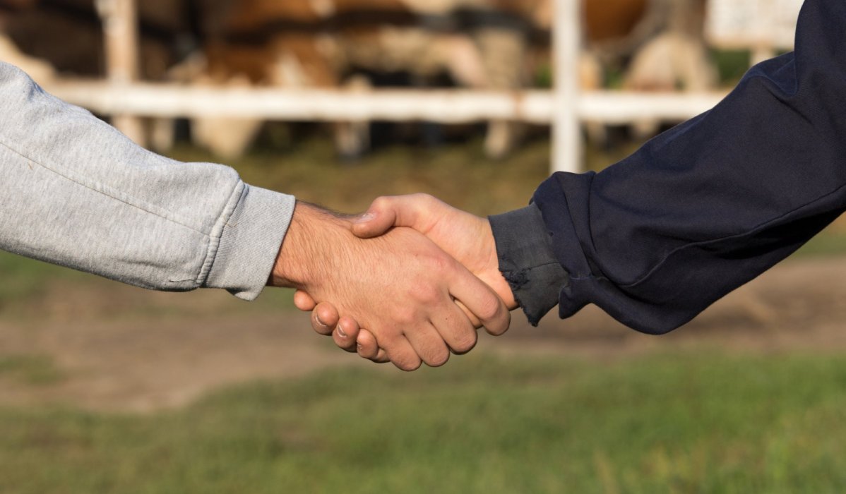 Building Industry Relationships